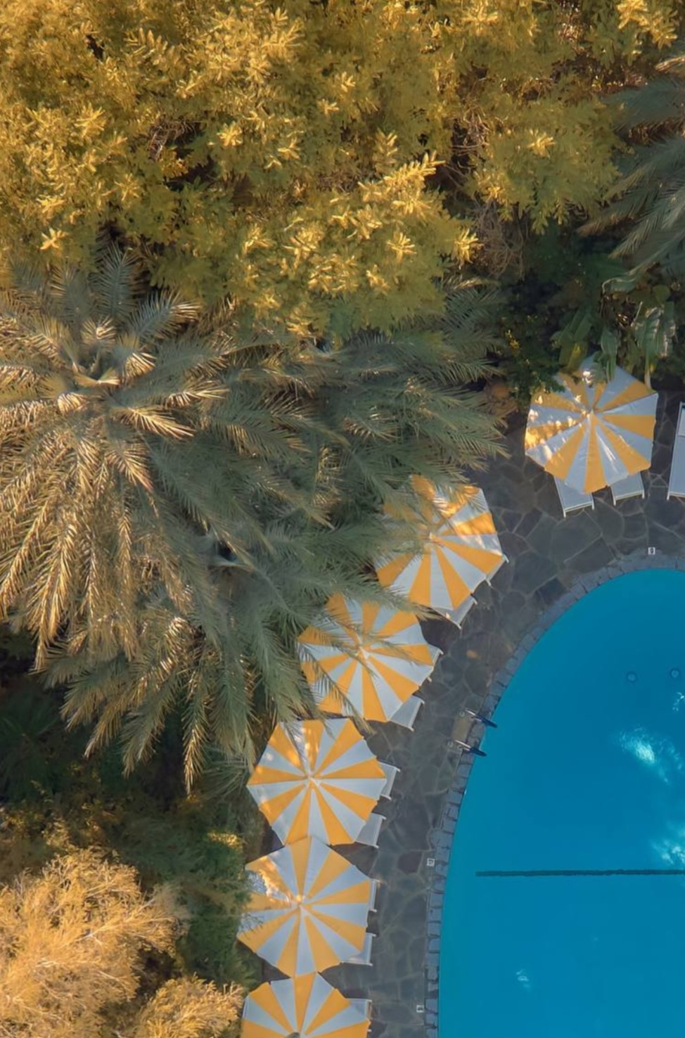 Poolside At The Parker