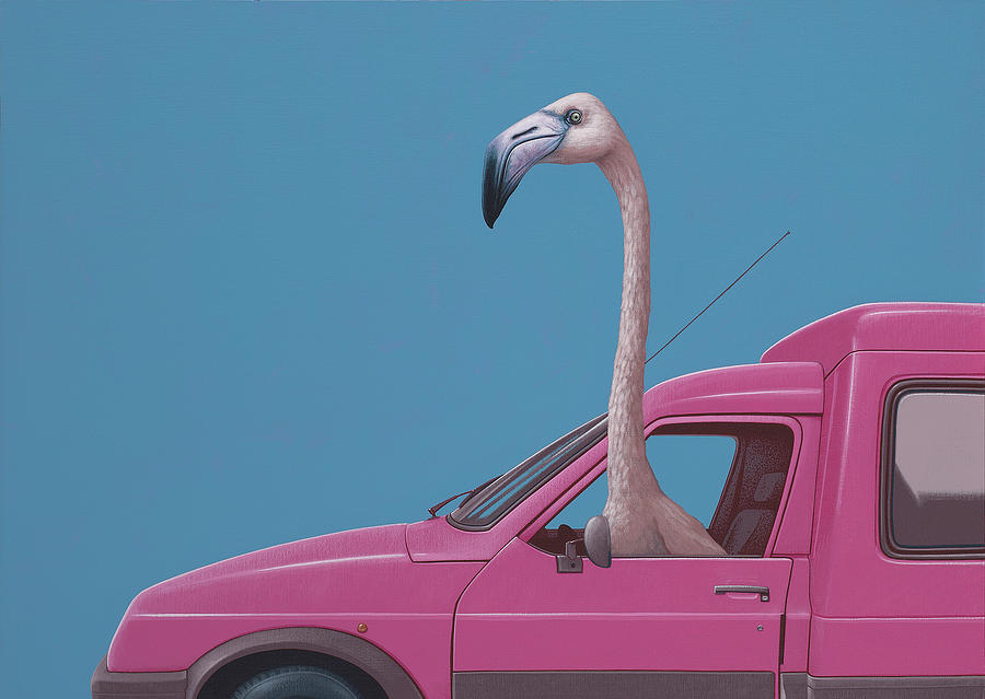 Flamingo